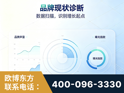 舒兰-品牌现状诊断