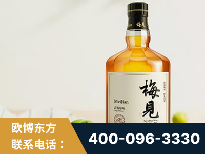 舒兰-梅见青梅酒